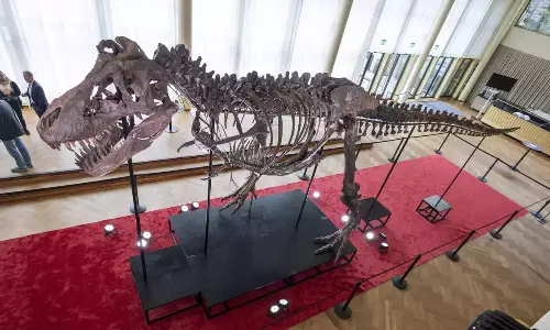 சுவிட்சர்லாந்தில் ரூ.50 கோடிக்கு ஏலம்போன டி-ரெக்ஸ் டைனோசர் எலும்புக்கூடு