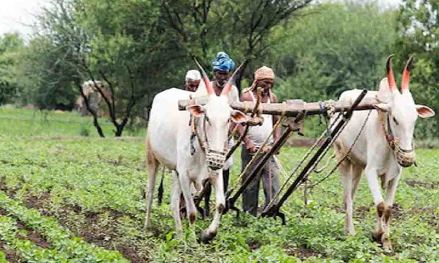 கலெக்டர் தலைமையில் திருப்பூரில் விவசாயிகள் குறைதீர்க்கும் நாள் கூட்டம்26-ந் தேதி நடக்கிறது