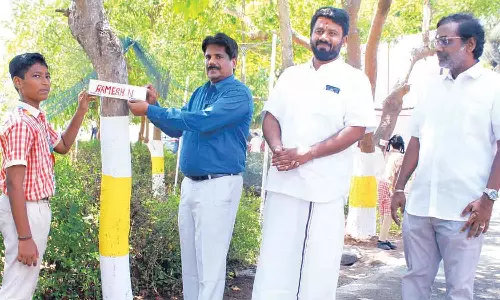 மரங்களுக்கு பெயர்சூட்டு விழா