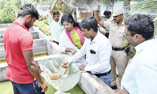 தேனி : அரசு மீன்பண்ணையில் கலெக்டர் ஆய்வு