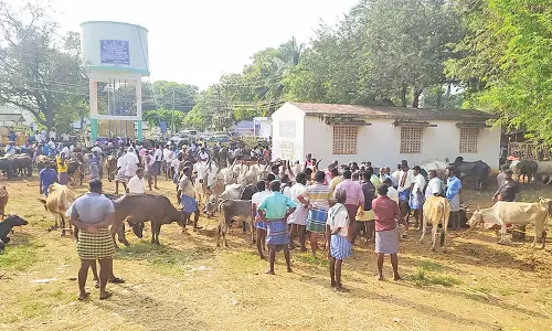 பாவூர்சத்திரம் சந்தையில் ரூ.1 கோடிக்கு கால்நடைகள் விற்பனை