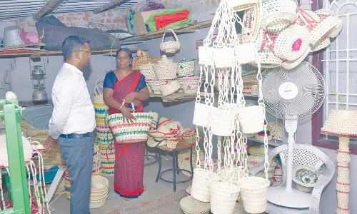 பனை ஓலை, வாழைநாரால் உருவாக்கப்பட்ட கைவினைப் பொருட்கள் - கலெக்டர் ஸ்ரீதர் பார்வையிட்டார்