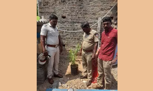 எங்கள் வீட்டில் கஞ்சா செடி வளர்கிறது- மகன் பரப்பிய வீடியோ காட்சியால் சிக்கிய தந்தை