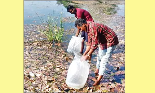 குடிநீர் ஊரணியை தூய்மைப்படுத்த பேரூராட்சி நிர்வாகம் நடவடிக்கை