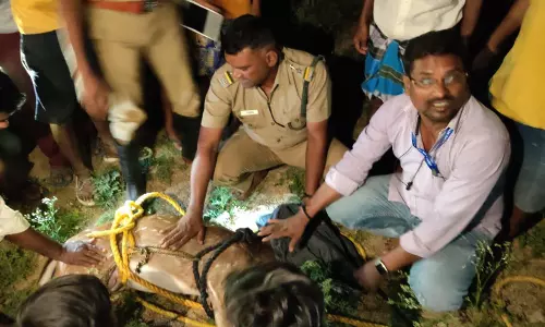 கிணற்றில் தவறி விழுந்த மான்