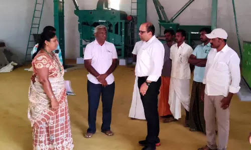சேமிப்பு கிடங்குடன் கூடிய விதை சுத்திகரிப்பு நிலையத்தில் கலெக்டர் ஆய்வு