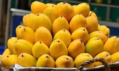 சேலத்தில் செயற்கையாக பழுக்க வைத்த 260 கிலோ மாம்பழம் பறிமுதல்