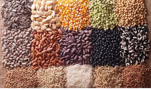 பதிவுச்சான்று பெறாத விதைக் குவியல்களை விற்பனை செய்ய கூடாது