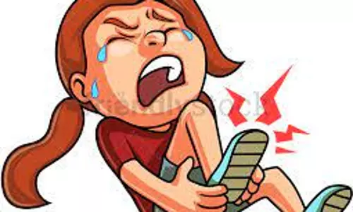 விருத்தாசலம் அருகே   கண்ணிவெடி வெடித்து சிறுவன் உள்பட 4 பேர் படுகாயம்