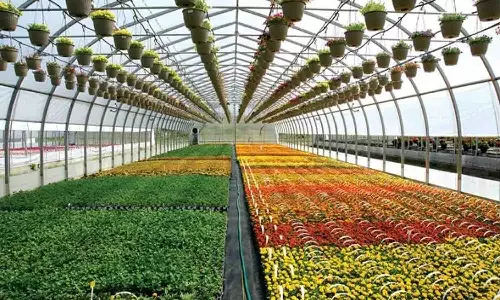 வேளாண் பொருட்களை பெற வர்த்தக இணையதளம்