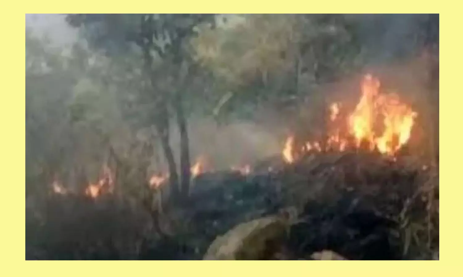 மேற்கு தொடர்ச்சி மலையில் போராடி தீயை அணைத்த வனத்துறையினர் மேற்கு தொடர்ச்சி மலையில் போராடி தீயை அணைத்த வனத்துறையினர்