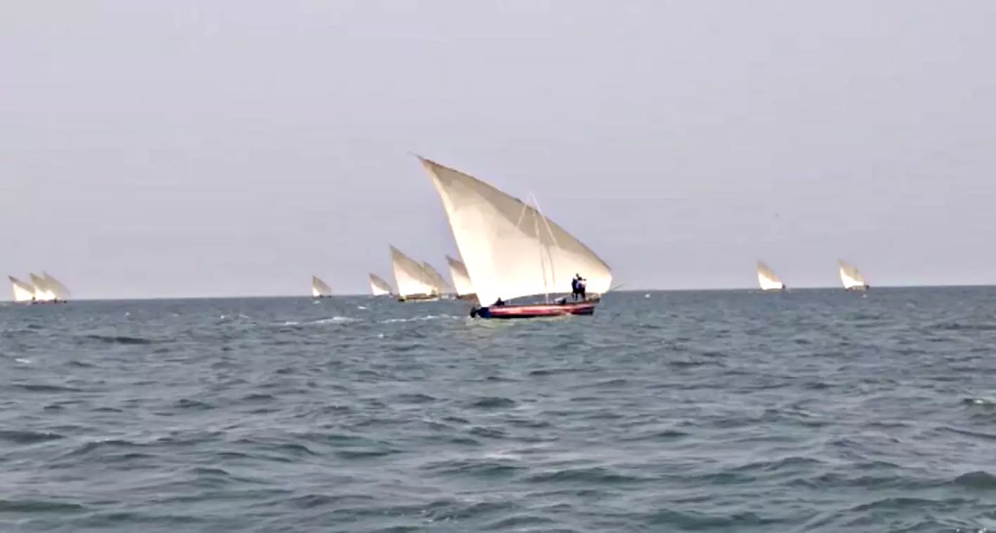 திருவாடானை அருகே பாய்மர படகு போட்டி திருவாடானை அருகே பாய்மர படகு போட்டி