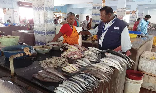 சிதம்பரம்   மீன் மார்க்கெட்டில் உணவு பாதுகாப்பு அதிகாரி திடீர் ஆய்வு