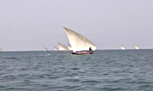 திருவாடானை அருகே பாய்மர படகு போட்டி