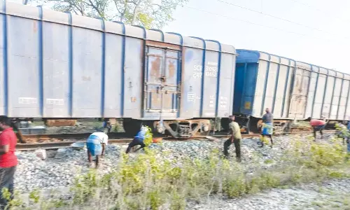 ராயக்கோட்டை அருகே சரக்கு ரெயில் தடம் புரண்டது