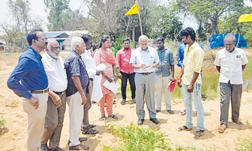 தர்பூசணி சாகுபடி குறித்து தோட்டக்கலை நிபுணர்கள் ஆய்வு