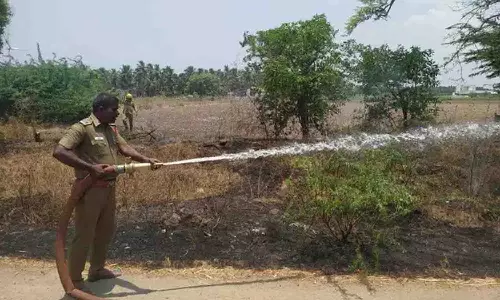 உப்பாறு ஓடை முள்காட்டில் தீ விபத்து