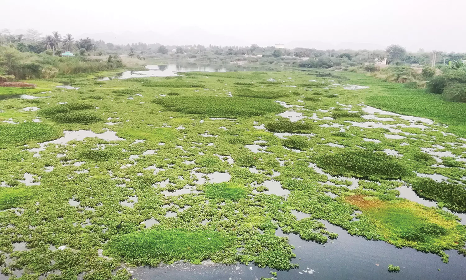 வைகை அணையில் குடிநீருக்காக திறக்கப்படும் தண்ணீரில் கழிவுகள் - சுகாதாரம் கேள்விக்குறி வைகை அணையில் குடிநீருக்காக திறக்கப்படும் தண்ணீரில் கழிவுகள் - சுகாதாரம் கேள்விக்குறி