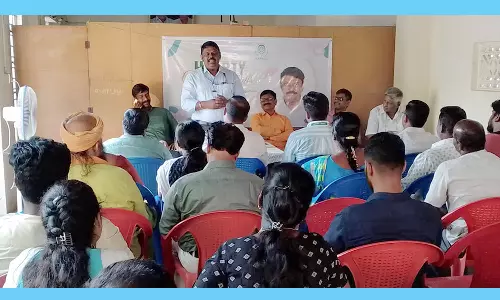 புதிய ரக வாழைக்கன்று அறிமுகம்