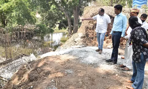 கூடலூர் நகராட்சி பகுதியில் ரூ.1.68 கோடி மதிப்பில் பாலம் அமைக்கும் பணியை கலெக்டர் ஆய்வு