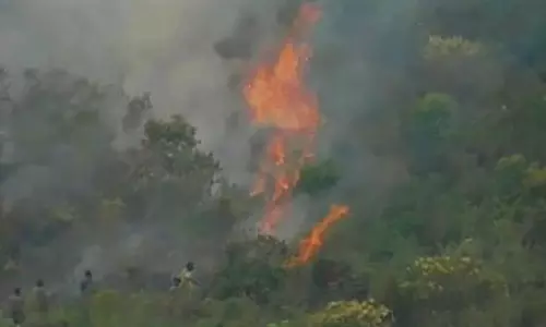 குன்னூா் அருகே மின்னல் தாக்கியதில் தீ பிடித்து எரிந்த மரங்கள்