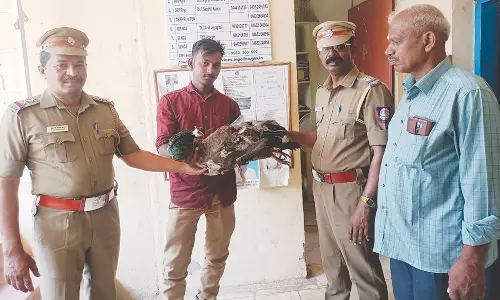 நாகர்கோவில் ரெயில் நிலையத்தில் உயர்மின் அழுத்த கம்பியில் சிக்கி மயில் சாவு