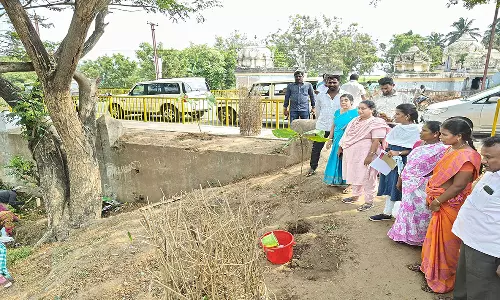 நெல்லிக்குப்பம் நகராட்சியில் வளர்ச்சி திட்ட பணிகளை நகராட்சி நிர்வாக இயக்குனர் ஆய்வு