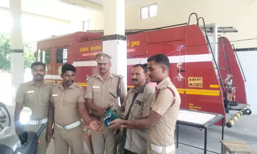 கிணற்றில் தவறி விழுந்த மயில் உயிருடன் மீட்பு