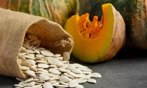 பதிவு சான்று இல்லாத விதைகளை விற்றால் உரிமம் ரத்து செய்யப்படும்