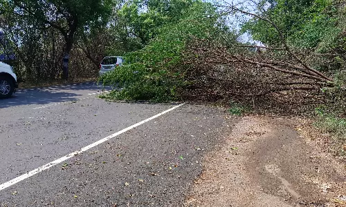 சென்னிமலை பகுதியில் இடி-மின்னலுடன் மழை