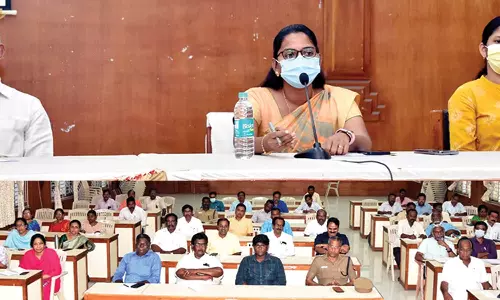 திருவாரூர் கலெக்டர் அலுவலகத்தில் கோடை வெயில் தாக்கம் குறித்த ஆலோசனை கூட்டம்