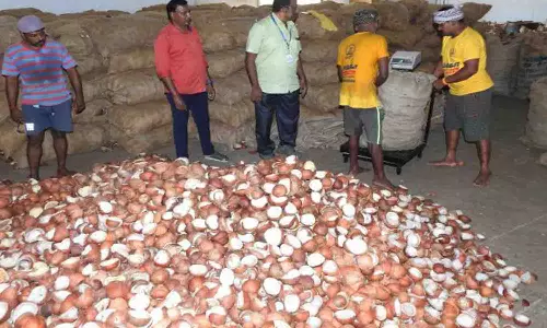 கொப்பரைகள் வாங்க காங்கயத்திற்கு படையெடுக்கும் விவசாயிகள்