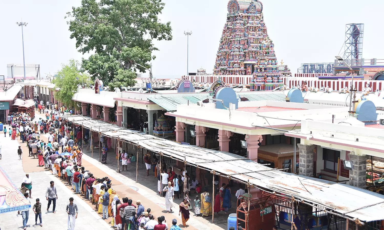 விடுமுறை நாளையொட்டி பழனி முருகன் கோவிலில் குவிந்த பக்தர்கள் விடுமுறை நாளையொட்டி பழனி முருகன் கோவிலில் குவிந்த பக்தர்கள்
