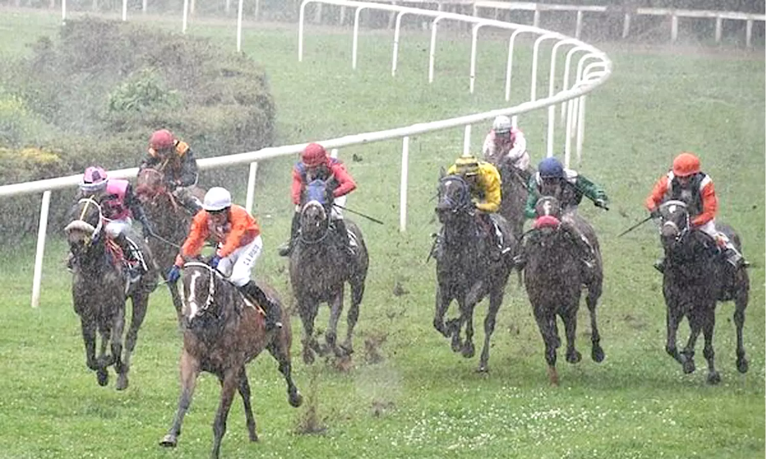 ஊட்டி குதிரை பந்தயத்தில் கிங் சன் குதிரை வெற்றி