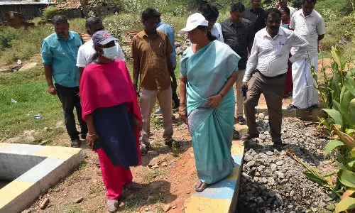 புதுநடுவலூர் கிராம ஊராட்சியில் வளர்ச்சி திட்ட பணிகளை ஆய்வு செய்த கலெக்டர்