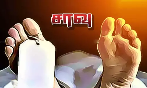 தென்னை மரத்திலிருந்து தவறி விழுந்த தொழிலாளி சாவு