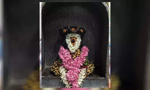 சித்தம்பலம் கோளறுபதி சிவன் ஆலயத்தில் குருபெயர்ச்சி விழா