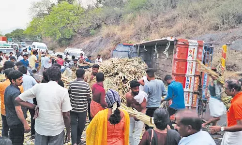 திம்பம் மலைப்பாதையில் கரும்பு லாரி கவிழ்ந்து 2 மணி நேரம் போக்குவரத்து பாதிப்பு