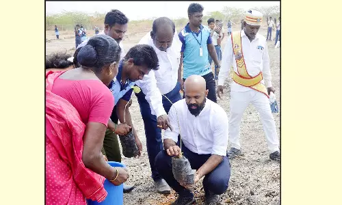 மரக்கன்றுகள் நடும் பணி