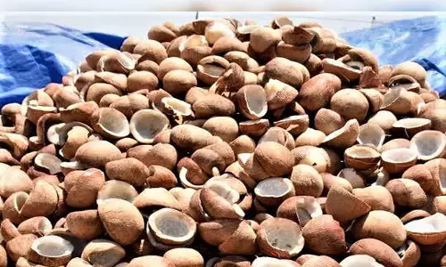 ரூ.98 லட்சத்துக்கு கொப்பரை ஏலம்