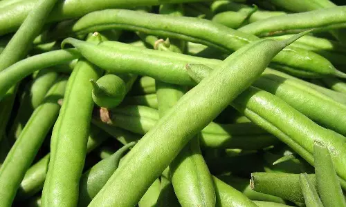வரத்து அதிகரிப்பால் பீன்ஸ் விலை குறைந்தது- கிலோ ரூ.50-க்கு விற்பனை