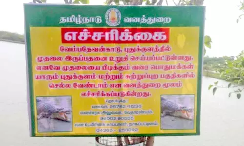 குளத்தில் முதலை இருப்பதால் பொதுமக்கள் இறங்க வேண்டாம்