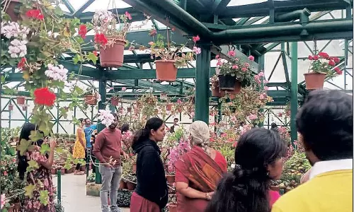 நீலகிரியில் குவிந்த சுற்றுலா பயணிகள்- சாலையோர வியாபாரிகள் மகிழ்ச்சி