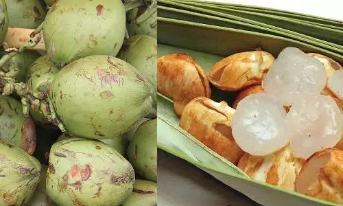 சுட்டெரிக்கும் கோடை வெயிலால் சூடுபிடிக்கும்  இளநீர், நுங்கு விற்பனை