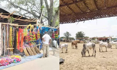 பொதுமக்களை ஆச்சர்யத்தில் ஆழ்த்தும் கண்ணபுரம் மாட்டுசந்தை விற்பனை