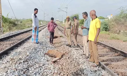 ெரயிலில் அடிப்பட்டு 3 மான்கள் பலி