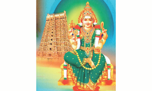 பறக்கை அருகே மதுசூதனபுரம் தேவி முத்தாரம்மன் கோவில் கும்பாபிஷேக விழா