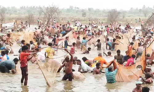 கொன்னைபட்டியில் மீன்பிடி திருவிழா