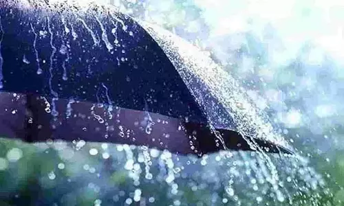 மாக்கினாம்பட்டியில் 91 மி.மீ. மழை கொட்டி தீர்த்தது-விவசாயிகள் மகிழ்ச்சி