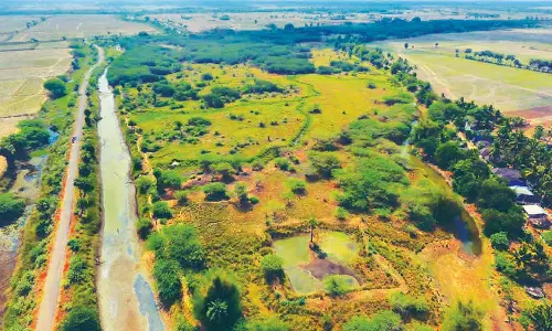 எழிலூர் ஏரி பணிகளை விரைந்து முடிக்க விவசாயிகள் வலியுறுத்தல்